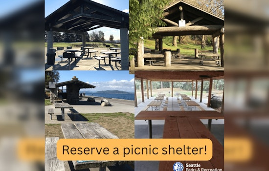 Seattle Opens Lottery for Coveted Summer Picnic Spots in City Parks