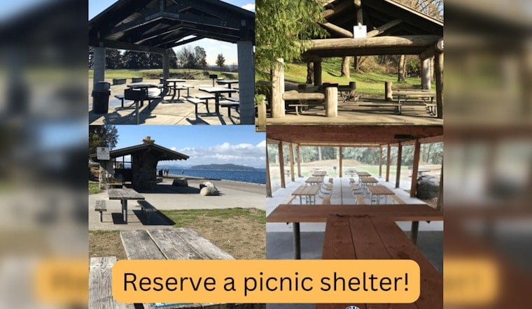 Seattle Opens Lottery for Coveted Summer Picnic Spots in City Parks