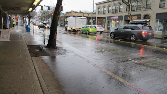 Seattle Prepares for Continued Showers, Glimpses of Sunshine Amidst Persistent Rain