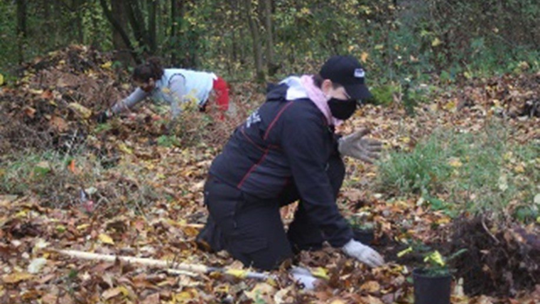 Seattleites Invited to Show Love for Local Parks Through Action, Says Seattle Parks and Recreation