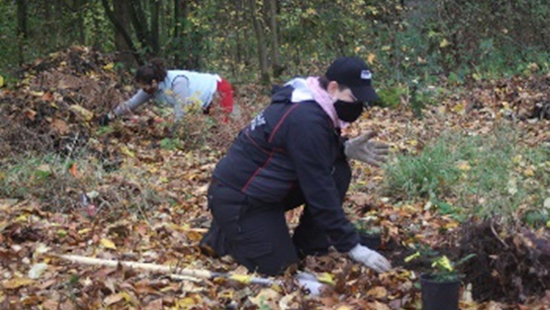Seattleites Invited to Show Love for Local Parks Through Action, Says Seattle Parks and Recreation