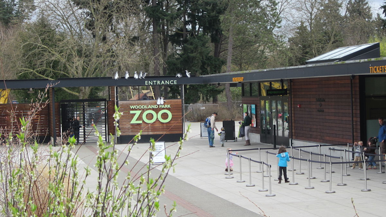 Seattle's Woodland Park Zoo Sets the Stage for 40th Annual ZooTunes Concert Series