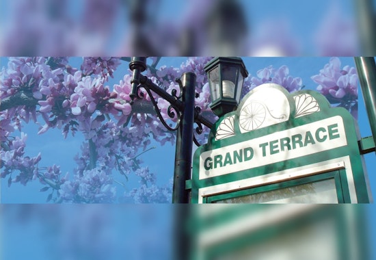 Second Suspect Apprehended in Grand Terrace Burglary, San Bernardino Man Held on $100,000 Bail