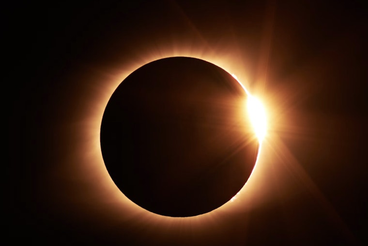 Seeing Red (and Green) for Science, Eclipse Fashion Fad Hits North America