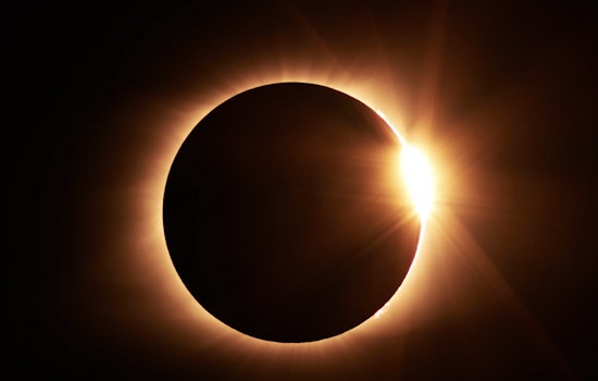 Seeing Red (and Green) for Science, Eclipse Fashion Fad Hits North America