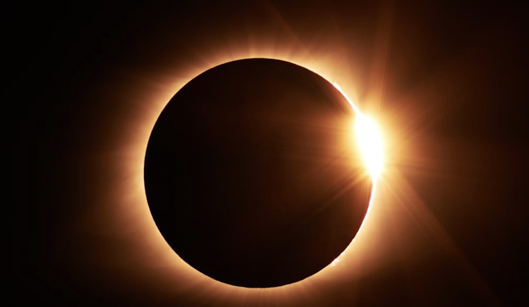 Seeing Red (and Green) for Science, Eclipse Fashion Fad Hits North America