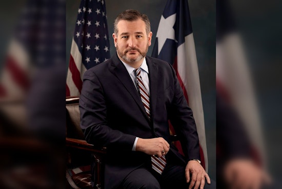 Sen. Ted Cruz Proposes Security Escorts, Private Airport Screenings for Lawmakers