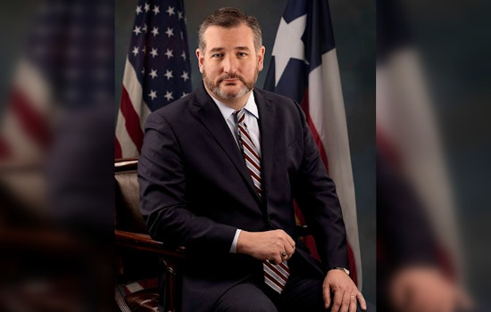 Sen. Ted Cruz Proposes Security Escorts, Private Airport Screenings for Lawmakers