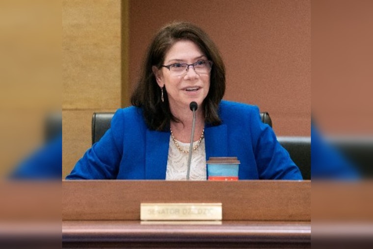 Senator Kari Dziedzic of Minneapolis to Lead Senate Committee on Local Government and Veterans in Minnesota