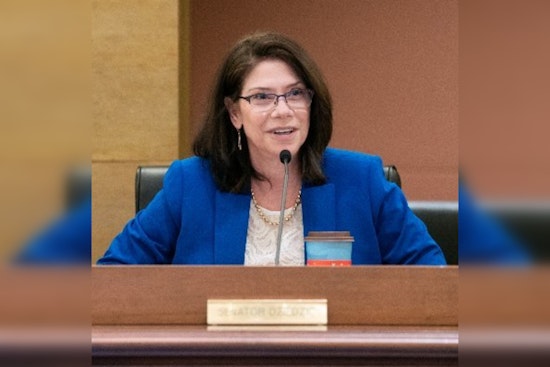 Senator Kari Dziedzic of Minneapolis to Lead Senate Committee on Local Government and Veterans in Minnesota