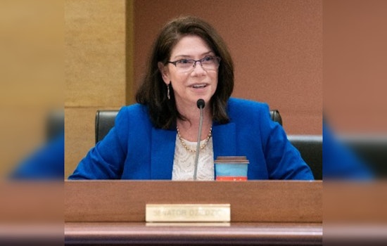Senator Kari Dziedzic of Minneapolis to Lead Senate Committee on Local Government and Veterans in Minnesota