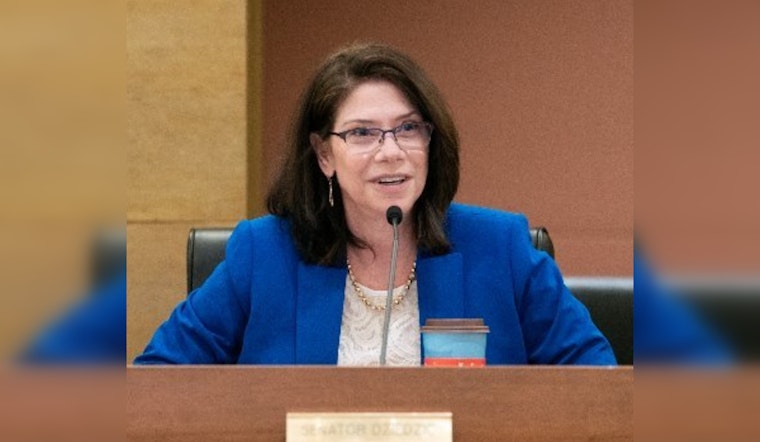 Senator Kari Dziedzic of Minneapolis to Lead Senate Committee on Local Government and Veterans in Minnesota