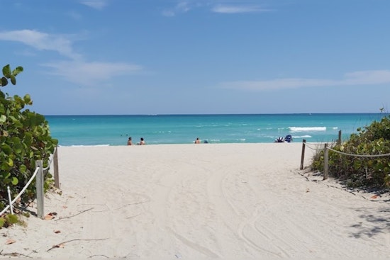 Shocking Shoreline Scene, Human Fetus Found on Miami Beach Sparking Police Probe