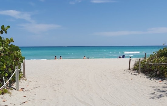 Shocking Shoreline Scene, Human Fetus Found on Miami Beach Sparking Police Probe