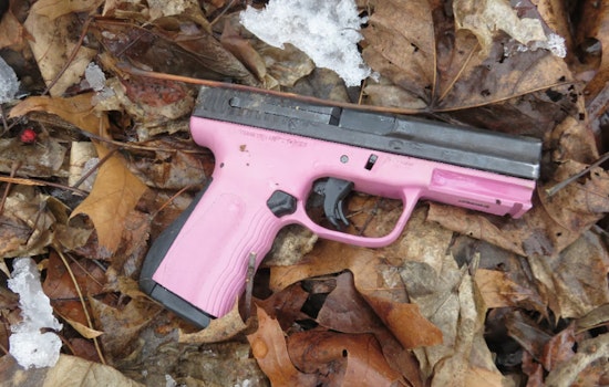 Springfield Police Arrest Convicted Manslaughter Offender with Illegal Firearm After Traffic Chaos
