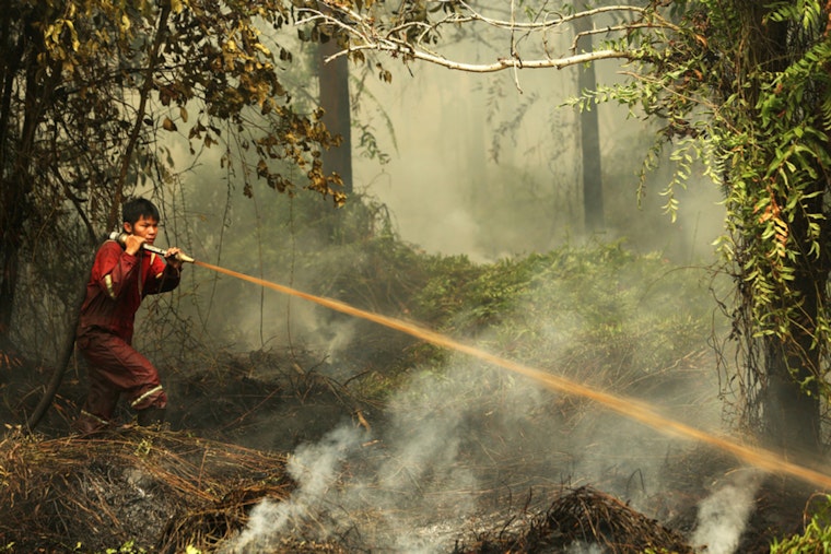 Study Uncovers Psychological Impact of Southeast Asian Wildfires on Public Mood