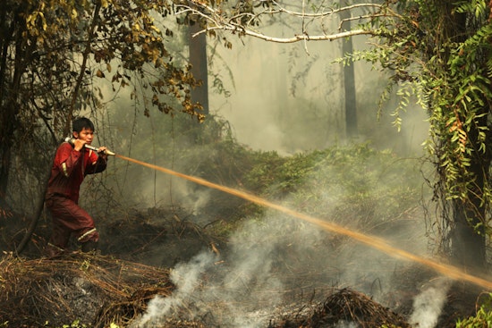 Study Uncovers Psychological Impact of Southeast Asian Wildfires on Public Mood