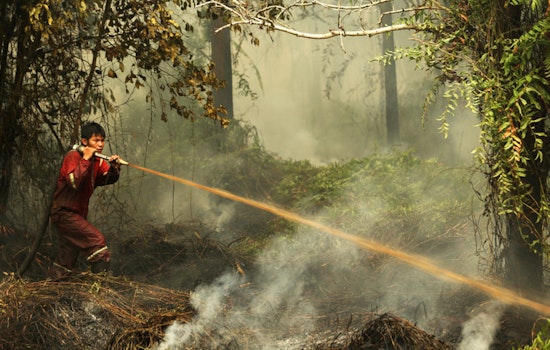 Study Uncovers Psychological Impact of Southeast Asian Wildfires on Public Mood