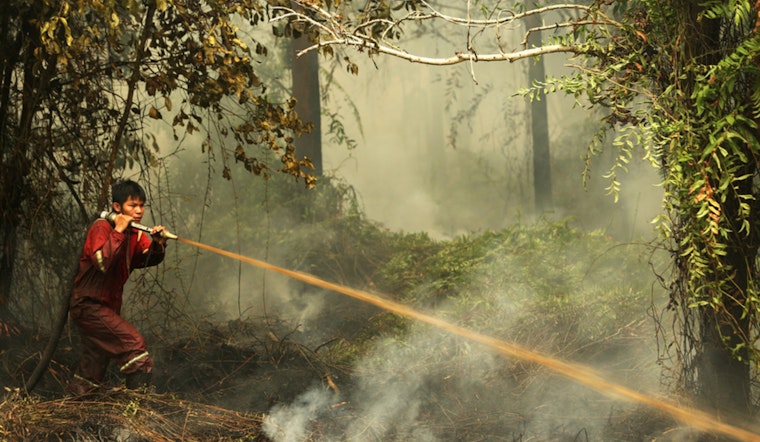 Study Uncovers Psychological Impact of Southeast Asian Wildfires on Public Mood