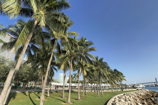 Sunny Days Ahead, Miami Forecasts a Stretch of Warm, Breezy Weather with Mild Evenings