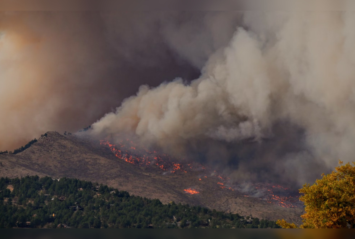 Texas In Flames, Governor Declares Disaster As Wildfires Engulf