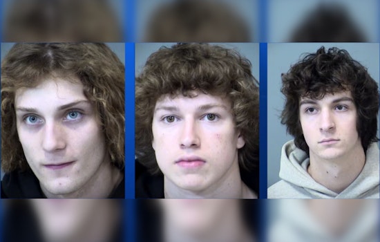 Three Young Men Indicted on Drug, Assault Charges Amid East Valley Crime Wave in Gilbert Spree