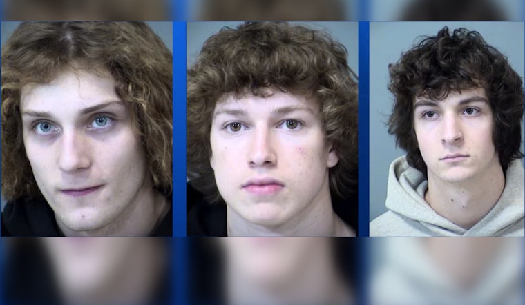 Three Young Men Indicted on Drug, Assault Charges Amid East Valley Crime Wave in Gilbert Spree