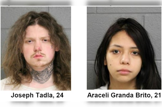 Two Suspected in Armed Robbery of Woman in Chicago, Face Felony Charges