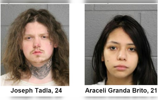 Two Suspected in Armed Robbery of Woman in Chicago, Face Felony Charges