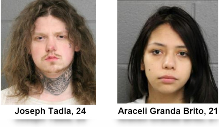 Two Suspected in Armed Robbery of Woman in Chicago, Face Felony Charges