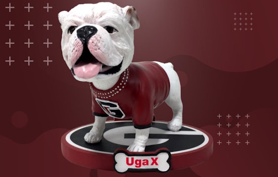 UGA X "Que" Immortalized in Limited Edition Bobblehead Following Mascot's Passing, Fans Pre-Order Next Batch