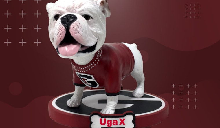 UGA X "Que" Immortalized in Limited Edition Bobblehead Following Mascot's Passing, Fans Pre-Order Next Batch