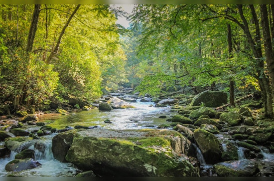 UMass Amherst Whizzes Crack the Carbon Code, Hidden CO2 Source May Skew Climate Models