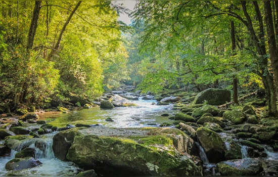 UMass Amherst Whizzes Crack the Carbon Code, Hidden CO2 Source May Skew Climate Models