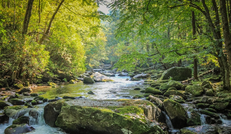 UMass Amherst Whizzes Crack the Carbon Code, Hidden CO2 Source May Skew Climate Models