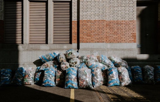 Universal City Announces Upcoming Brush Collection Dates and Yard Waste Disposal Options