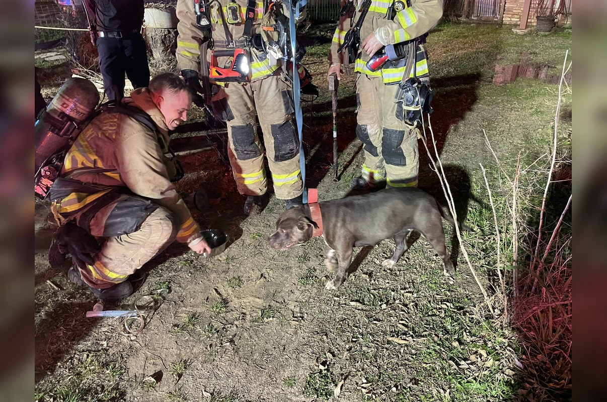 Unresponsive Dog Rescued Amidst House Fire in Southeast Austin,