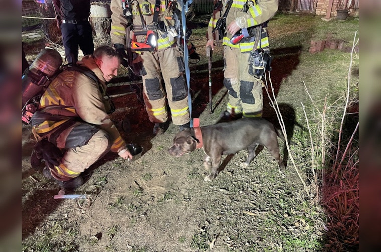 Unresponsive Dog Rescued Amidst House Fire in Southeast Austin, Residents Safe