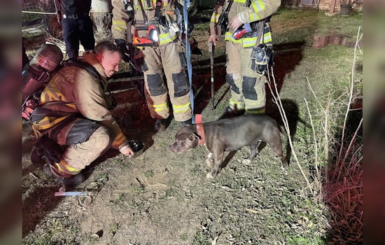 Unresponsive Dog Rescued Amidst House Fire in Southeast Austin, Residents Safe