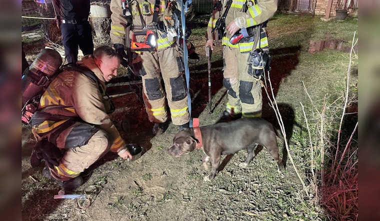 Unresponsive Dog Rescued Amidst House Fire in Southeast Austin, Residents Safe