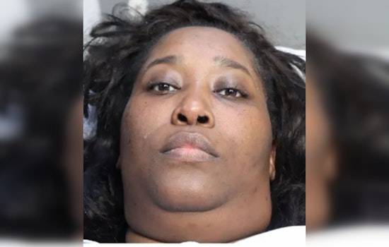 UPDATE: Miami-Dade Mother Pleads Not Guilty After Twins' Deaths, Awaiting Toxicology Report for Further Charges