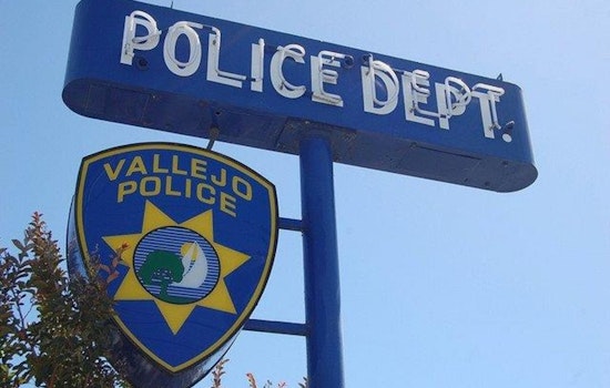 Vallejo Police Arrest Nine in Successful Sting Operation Against Retail Theft