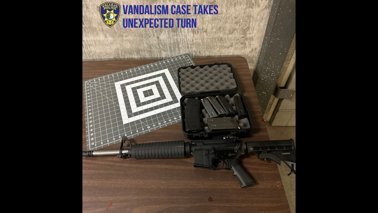 Vallejo Vandalism Arrest Leads to Unexpected Discovery of Firearms and Ammo