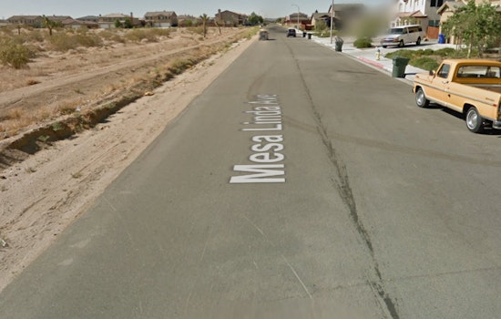 Victorville Child Hospitalized After Dog Attack, City Seeks Help to Locate Animal