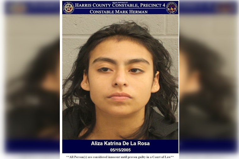 Woman Arrested for Criminal Trespass After Ignoring Warning Near Houston