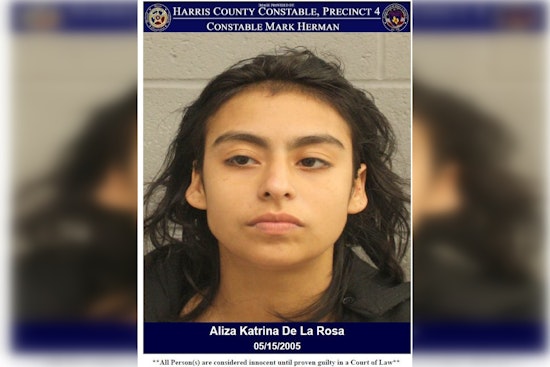 Woman Arrested for Criminal Trespass After Ignoring Warning Near Houston