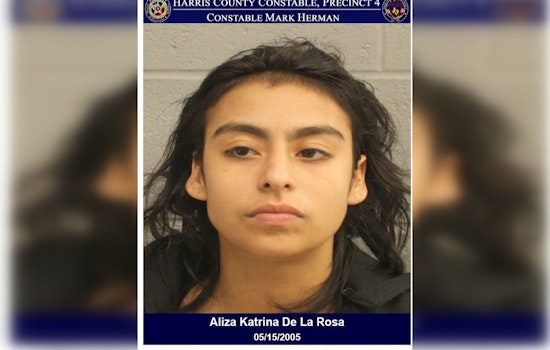 Woman Arrested for Criminal Trespass After Ignoring Warning Near Houston