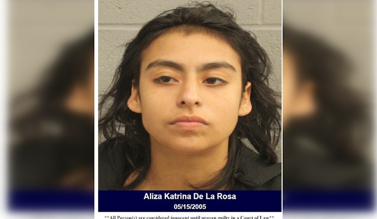Woman Arrested for Criminal Trespass After Ignoring Warning Near Houston