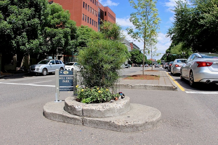 World's Smallest Park in Portland Left Treeless, Community Vows to Replant Missing Spruce