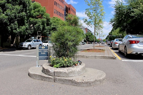 World's Smallest Park in Portland Left Treeless, Community Vows to Replant Missing Spruce